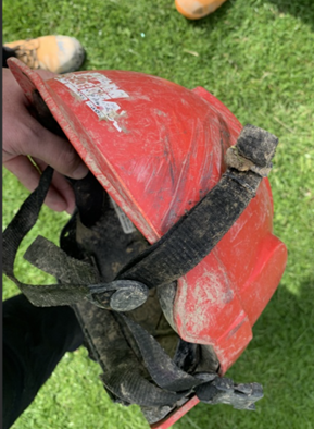 [image] Forestry safety alert - March 2026 - helmet