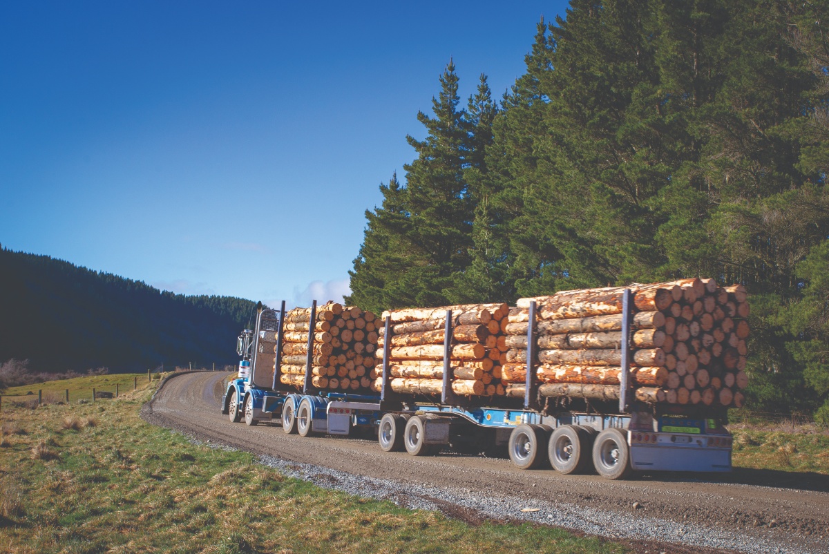 Forestry