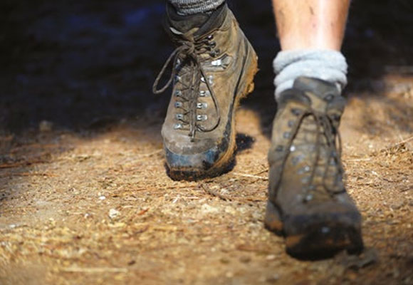 [image] Close-up view of a farmer's workboots