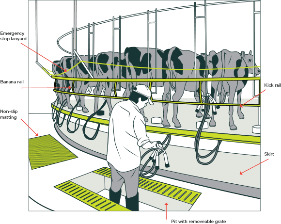 [Image] Safety features in a rotary dairy; red arrows point to the emergency stop lanyard, banana rail, non-slip matting, pit with removable grate, kick rail and skirt. 