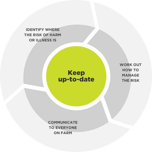 [image] Diagram showing risk management cycle