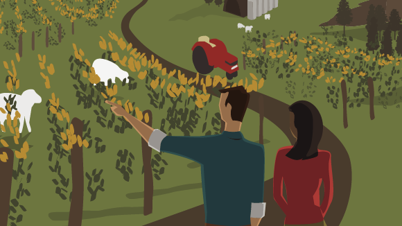 [image] Man pointing with woman beside him looking at vines, sheep and a tractor