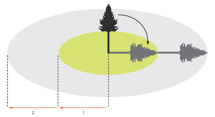 A falling tree with horizontal exclusion zones marked for one and two tree lengths.