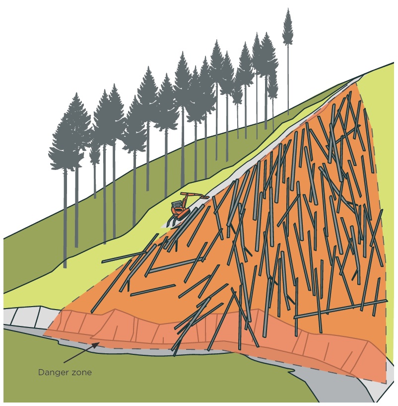 trees felled on steep terrain creating a danger zone where they lay and downslope.
