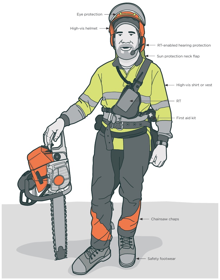 Faller wearing eye protection; high-vis helmet; RT-enabled hearing protection; sun protection neck flap; high-vis short or vest; RT; first aid kit; chainsaw chaps; and safety footwear.
