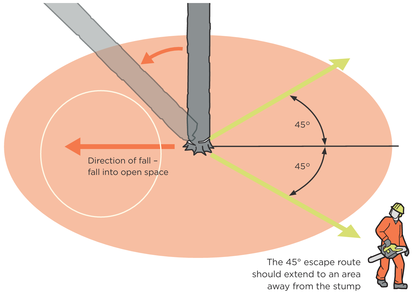Aerial diagram showing safe 45-degree escape routes on either side behind a tree being felled, opposite to the direction of fall into open space.