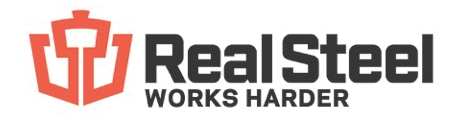 [Image] Real steel logo