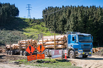 Learning modules: Health and safety when managing a small forest harvest