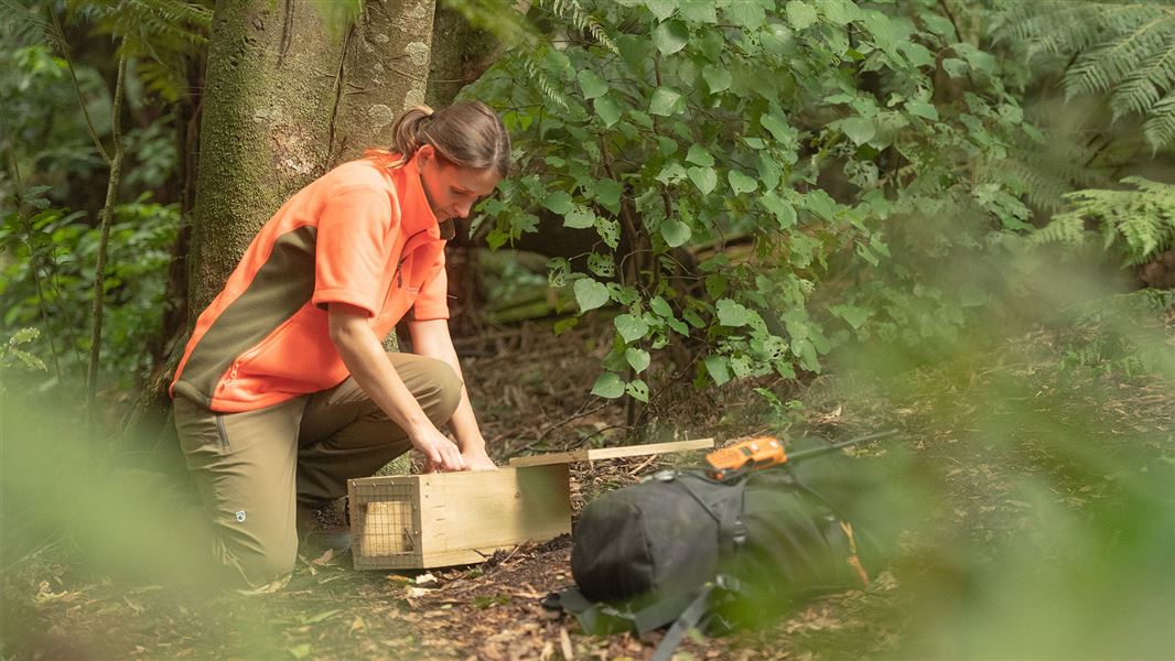 Taking the focus away from paperwork and compliance leads to improved health and safety