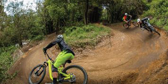 Information for commercial mountain-biking operators