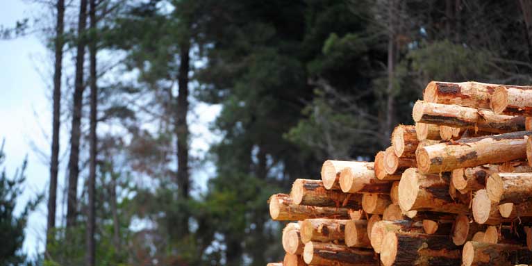 Safe manufacture and use of timber treatments and preservatives