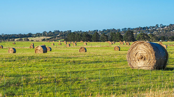 Two new draft codes of practice in agriculture