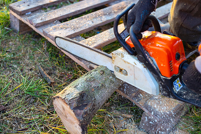 [image] Forestry - chainsaw logs