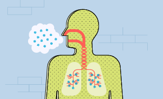 Asbestos Awareness Week 2025