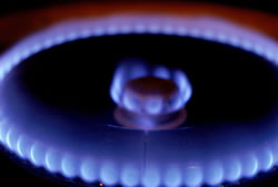 Electrical and gas accidents annual report 2023