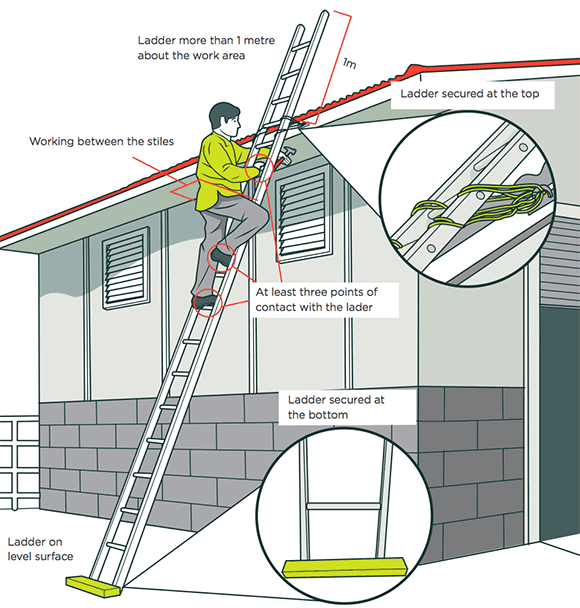 [image] Farmer working on ladder using correct safety measures; close up views of ladder secured at top and bottom