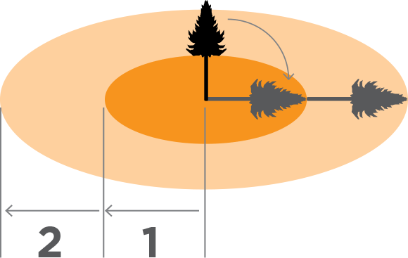 [Image] Diagram showing a tree and shadows where it will fall, with dark orange circle area indicating zone of one felled tree and light orange circle area indicating zone of two felled trees. 