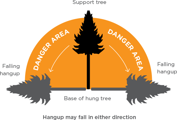 Tree Faller's Manual: Techniques for Standard and Complex Tree-Felling  Operations (Paperback)