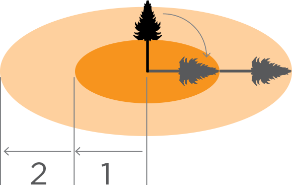 [Image] Diagram showing a tree and shadows where it will fall, with dark orange circle area indicating zone of one felled tree and light orange circle area indicating zone of two felled trees. 