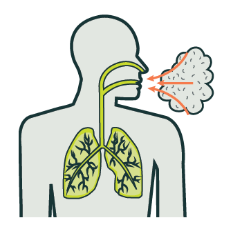 [Image] Illustration of inhaling contaminants 