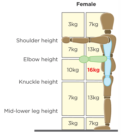 Female lifting and lowering screening values with 16kg, between elbow and knuckle level, highlighted.