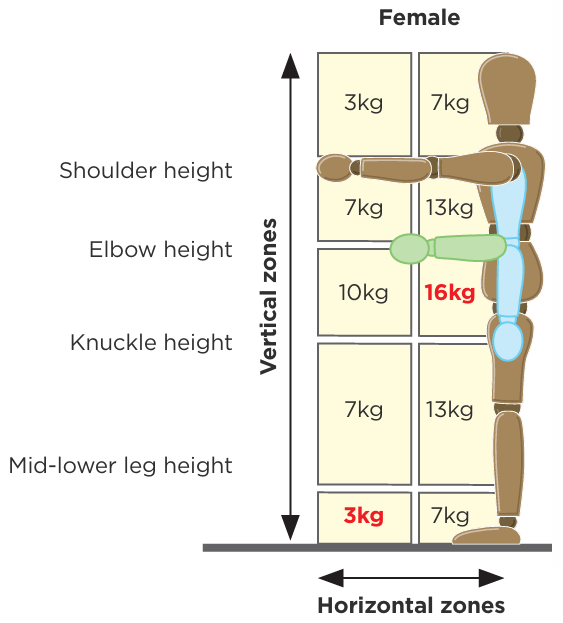 Female lifting and lowering screening values with 16kg, between elbow and knuckle levels, and 3kg, between mid-lower leg and ground levels, highlighted.