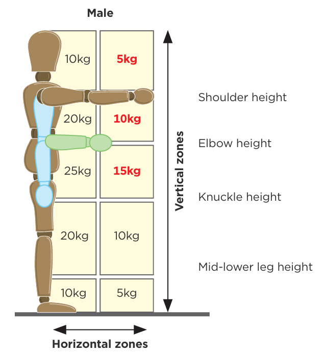 Diagram of male lifting and lowering values.