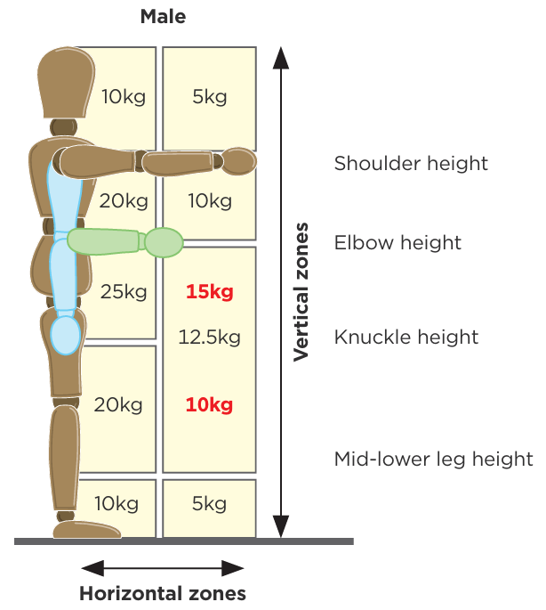Diagram of male lifting and lowering values.