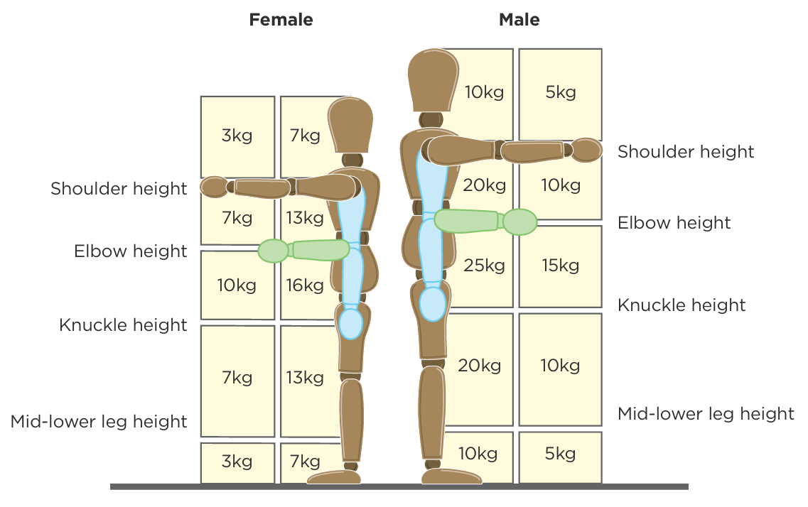 Diagram showing screening values for lifting and lowering tasks. See link below for text alternative.