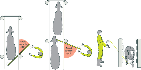[image] Figure showing slip-rail hazards, shaded areas indicate spots to avoid