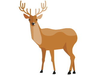 [image] Deer hero