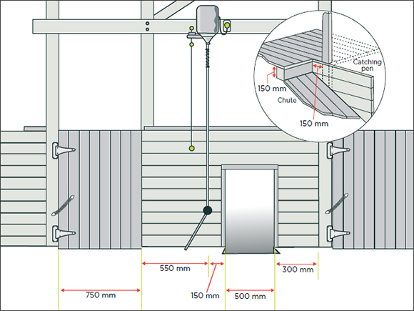 [image] Shearing stand with safety distances and correct chute construction; cross-section insert shows indent into shearing board