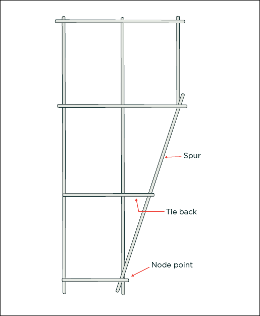 [Image] Diagram showing how a spur is used to support a platform not directly supported by standards