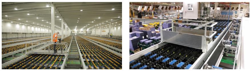[image] two images of service trolleys over fruit sorting conveyers.
