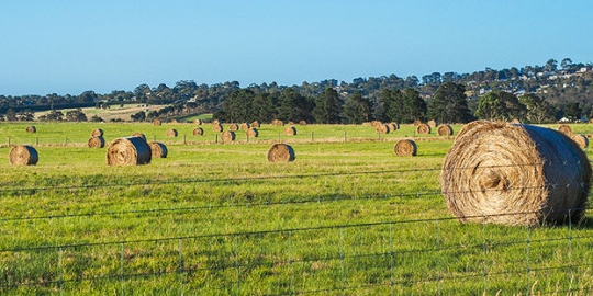 Wide agriculture hay bales tile
